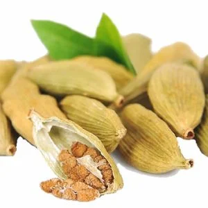 هل-سبر-بادانه.
