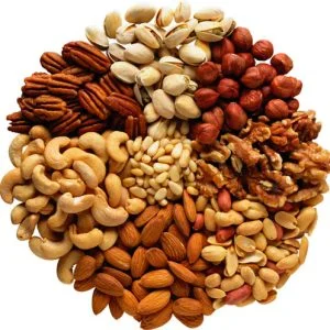 چند-مغز